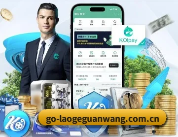 老哥网 APP 深度功能
